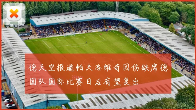 德天空报道帕夫洛维奇因伤缺席德国队国际比赛日后有望复出