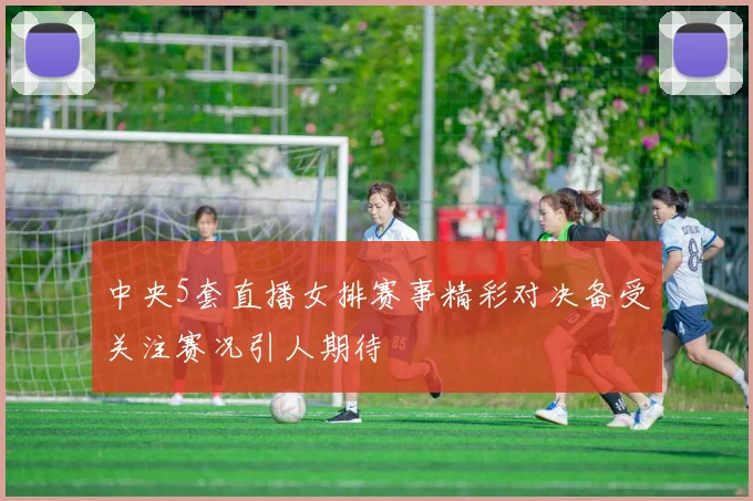 中央5套直播女排赛事精彩对决备受关注赛况引人期待