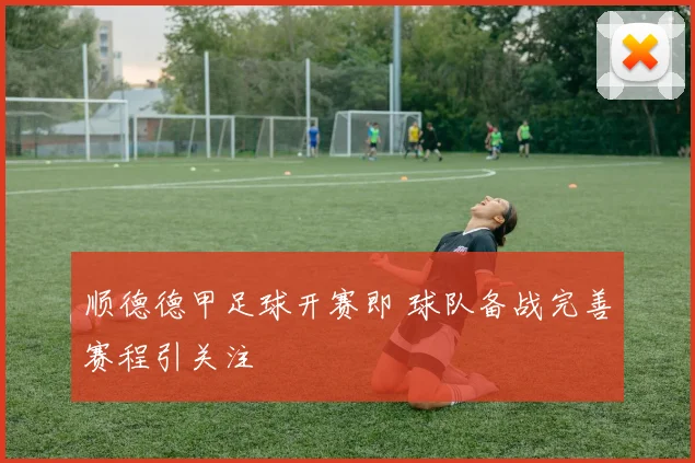 顺德德甲足球开赛即 球队备战完善赛程引关注
