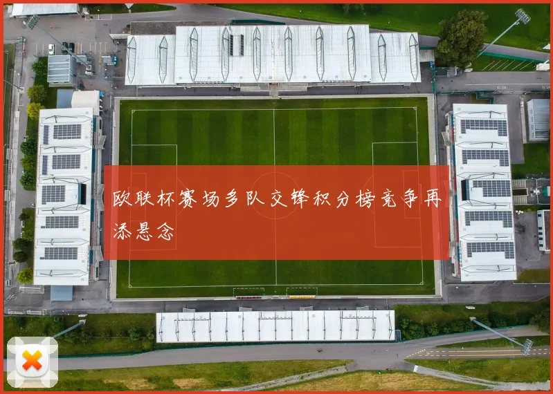 欧联杯赛场多队交锋积分榜竞争再添悬念